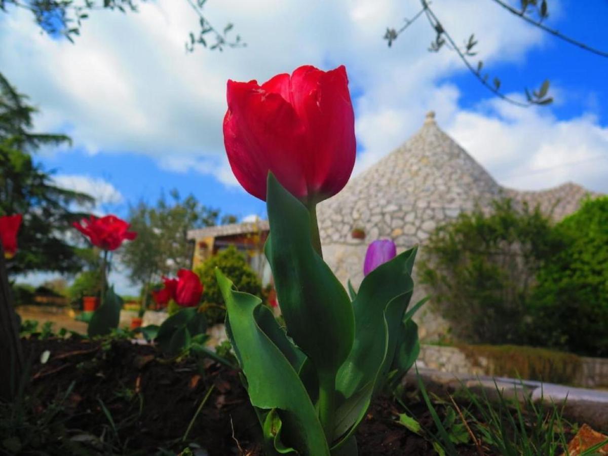B&B Mandorla Amara Джоя-дель-Колле Екстер'єр фото