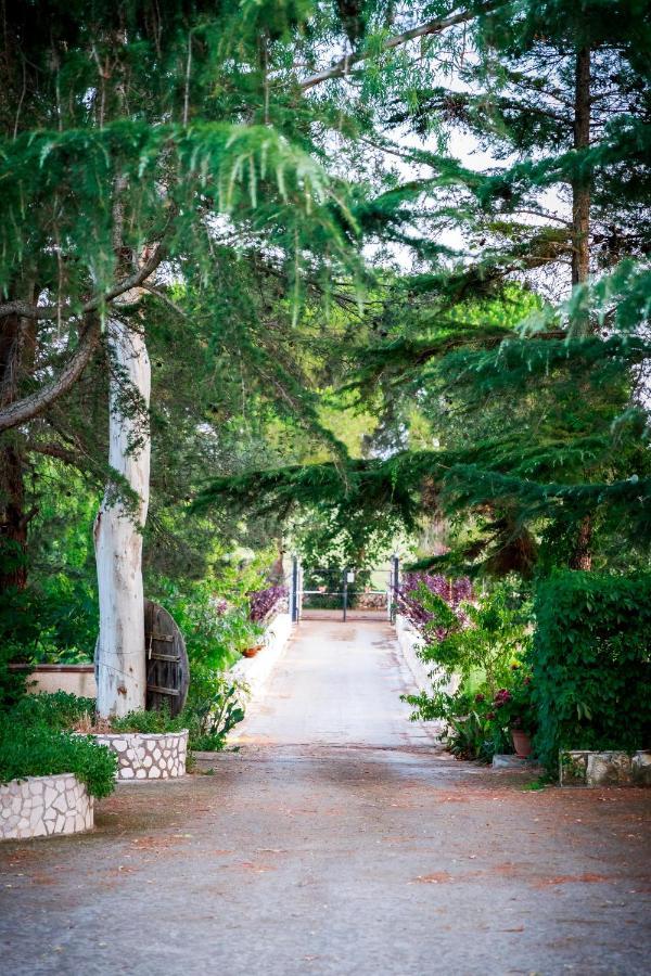 B&B Mandorla Amara Джоя-дель-Колле Екстер'єр фото