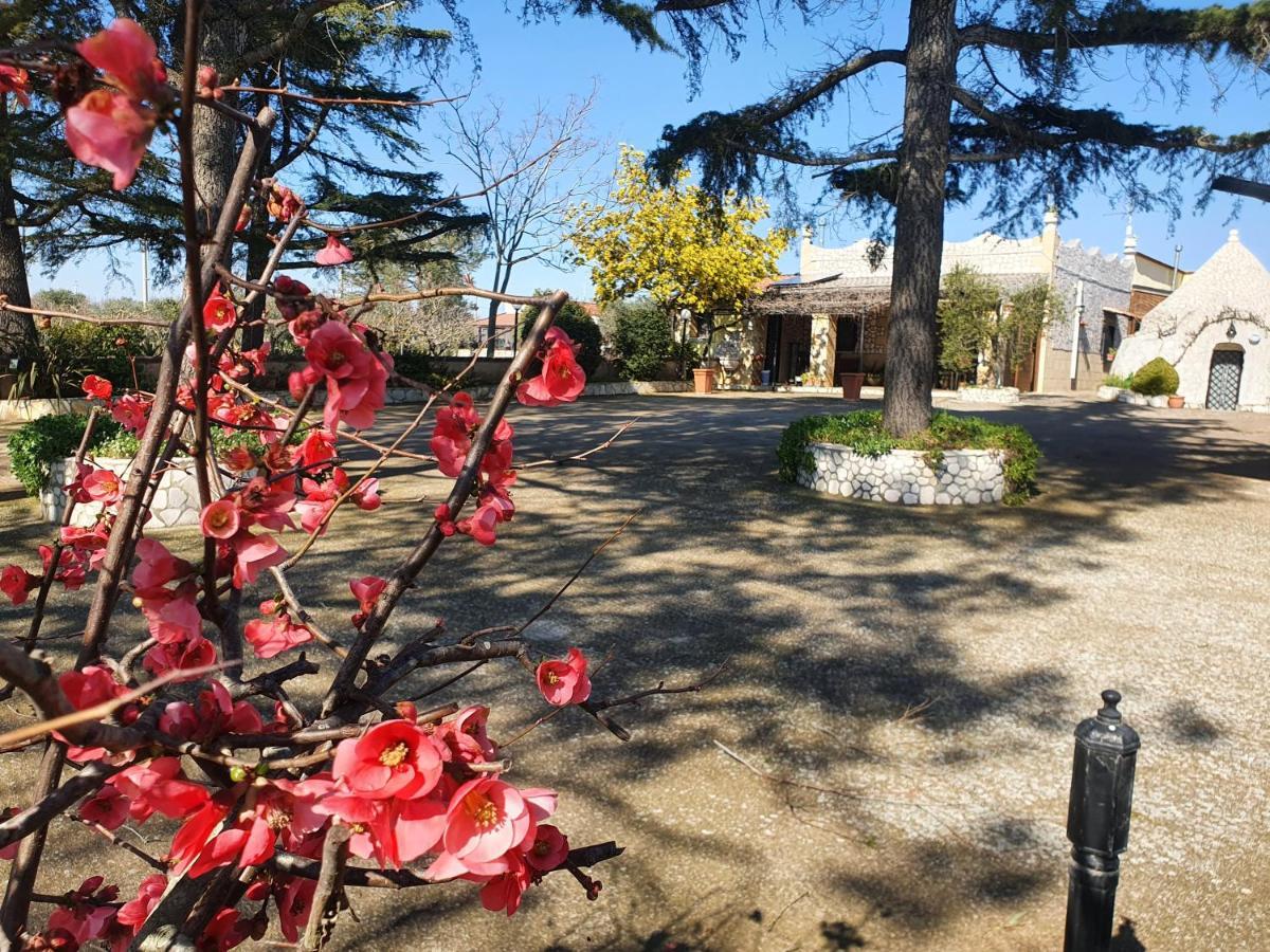 B&B Mandorla Amara Джоя-дель-Колле Екстер'єр фото